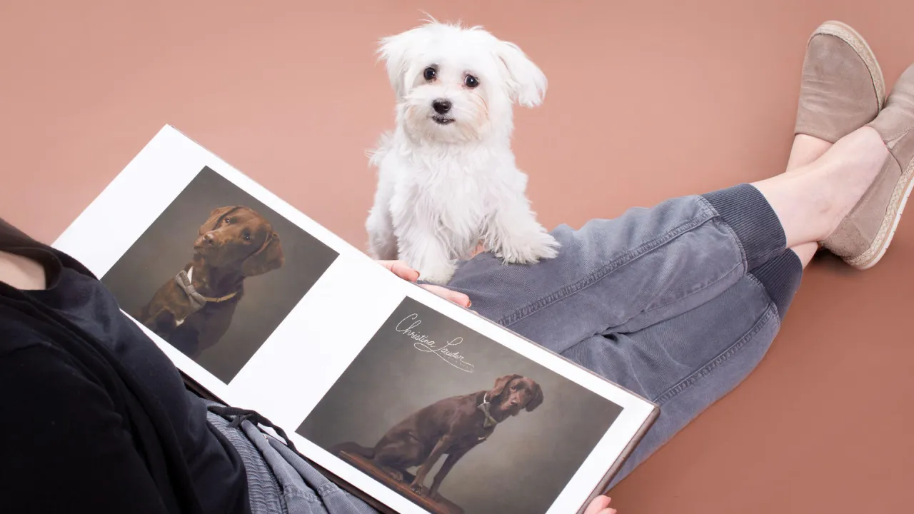 Zdjęcie Ile zarabia fotograf zwierzęcy w Polsce? Fakty, które zaskakują