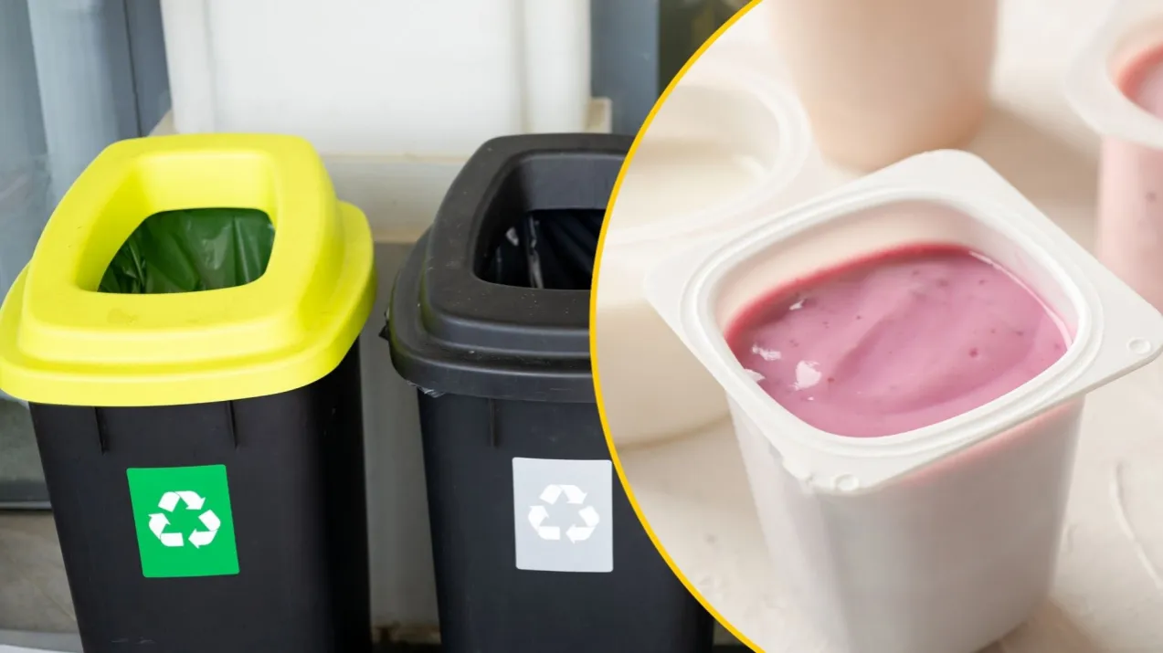 Zdjęcie Gdzie wyrzucić opakowanie po musie? Segregacja krok po kroku