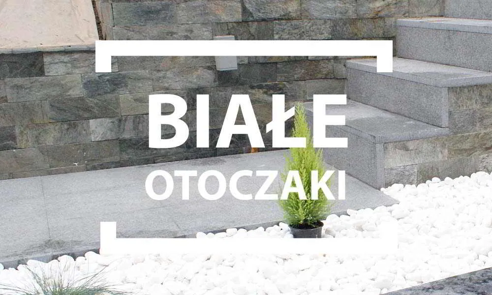 Zdjęcie Jak umyć białe kamienie ogrodowe i przywrócić im blask w kilka kroków