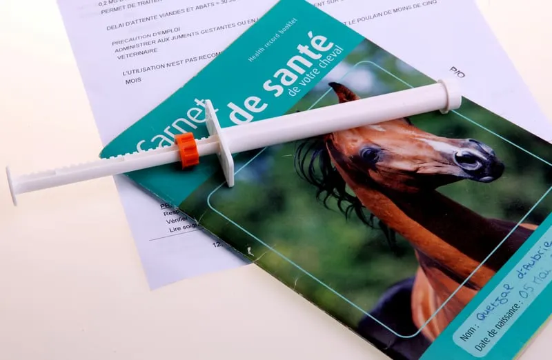 Zdjęcie Odrobaczanie konia przed czy po jedzeniu – co jest skuteczniejsze?