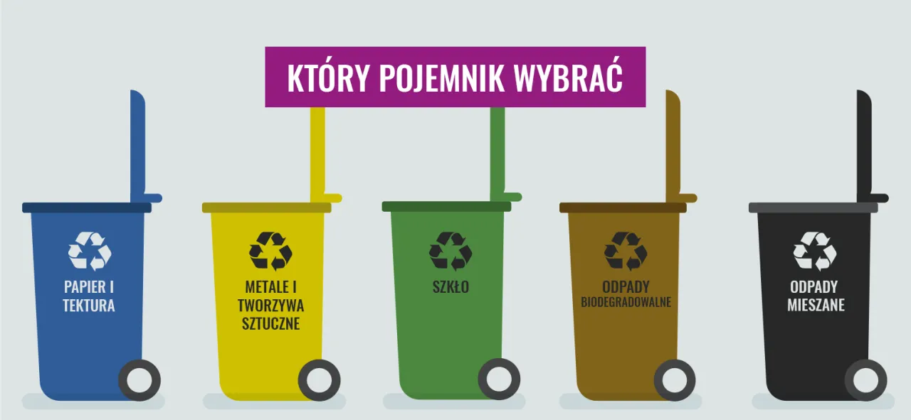 Zdjęcie Etapy recyklingu: Jak skutecznie przetwarzać odpady i oszczędzać zasoby