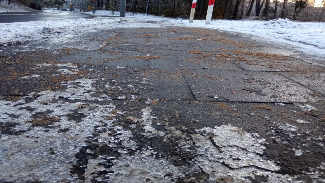 Zdjęcie Czy można sypać solą chodniki? Sprawdź przepisy i skutki dla środowiska