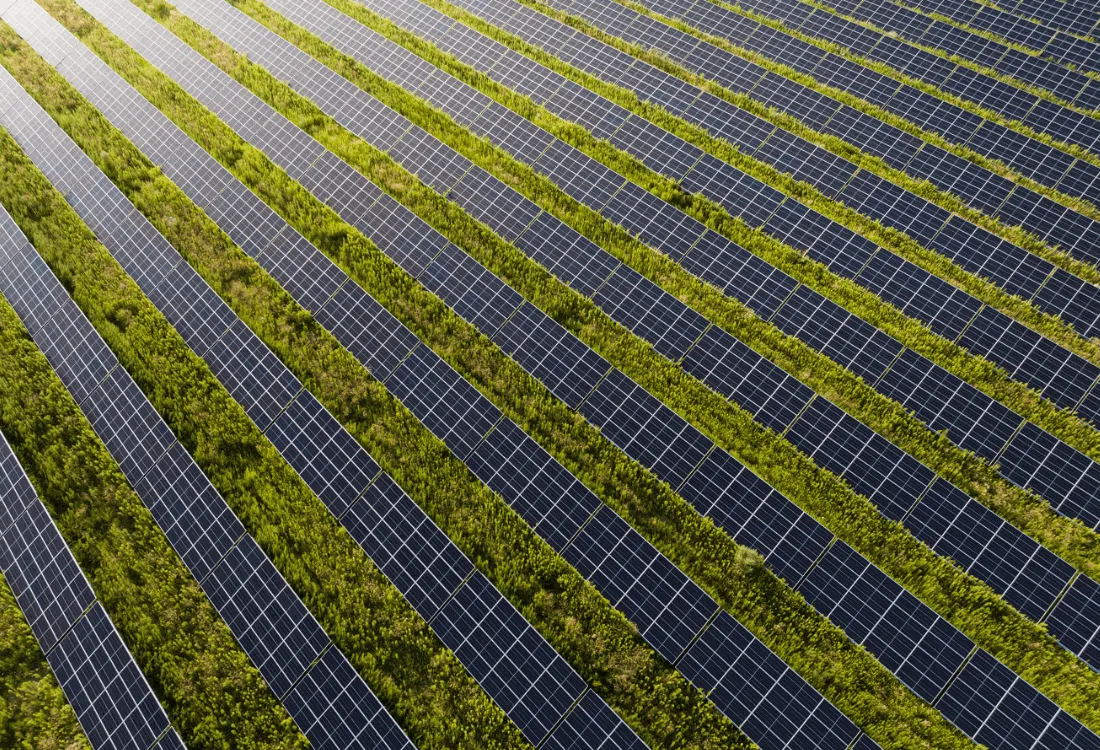 Zdjęcie Dzierżawa ziemi pod elektrownie słoneczne - uniknij kosztownych błędów
