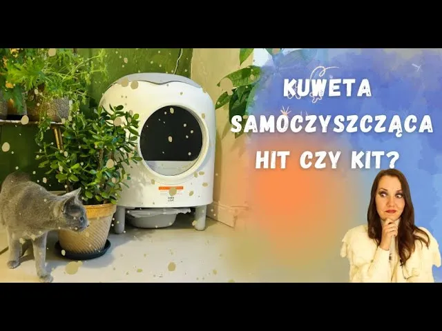 Zdjęcie Jak działa kuweta samoczyszcząca? Odkryj jej sekrety i zalety
