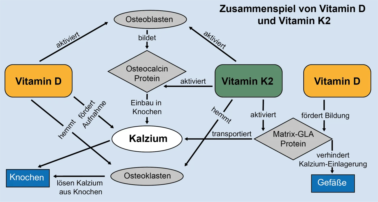 Zdjęcie Vitamin D3 und K2: So profitieren Sie von der synergistischen Wirkung
