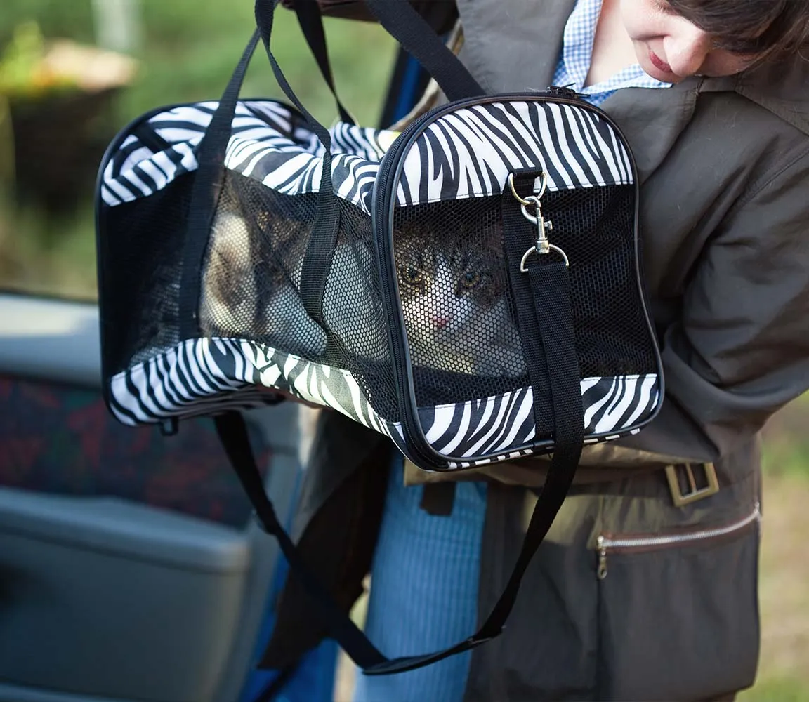 Zdjęcie Jak przewozić kota w samochodzie bez stresu i zagrożeń dla zdrowia