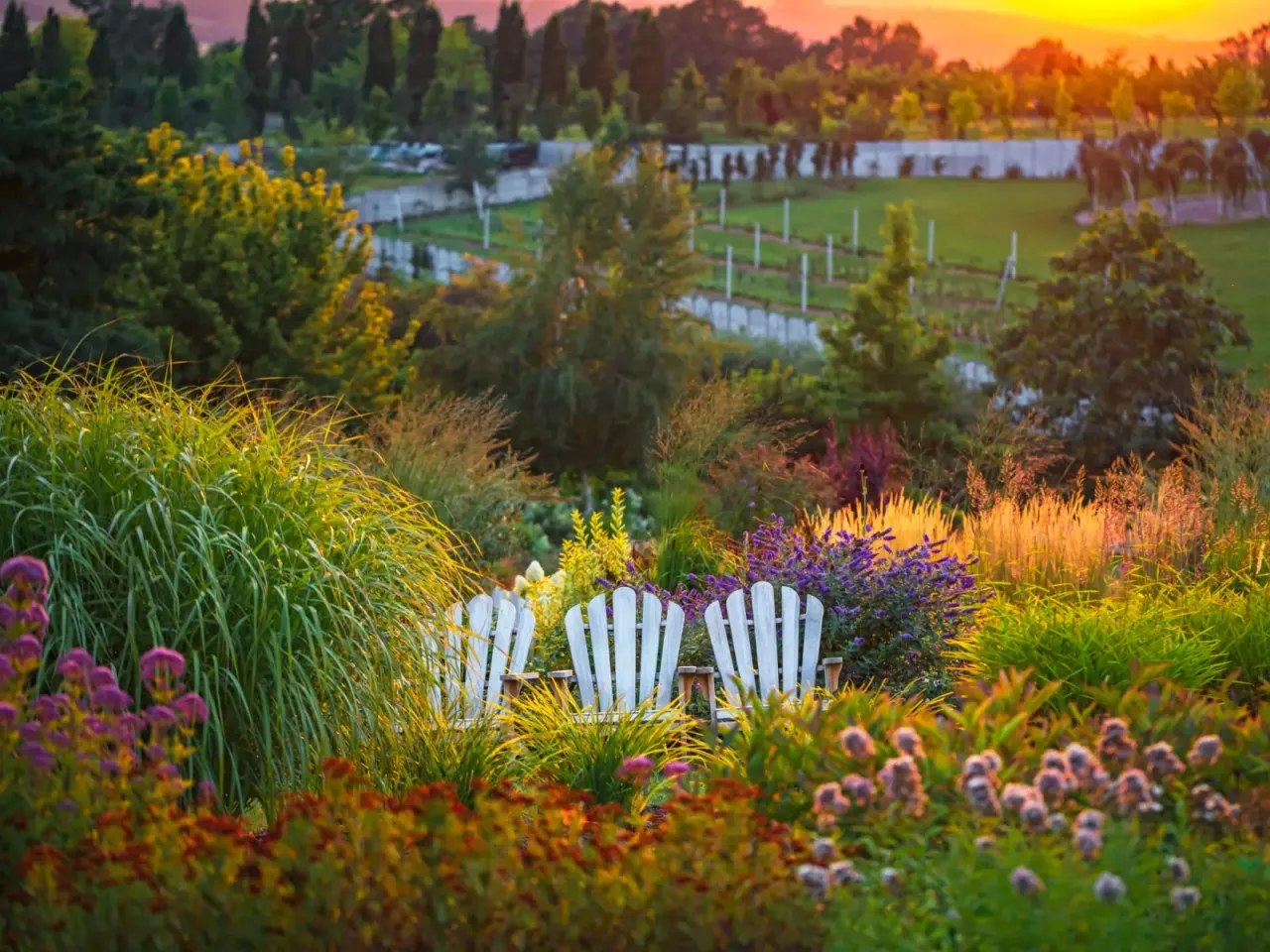Zdjęcie Kiedy jechać do arboretum Wojsławice, aby nie przegapić kwitnienia?