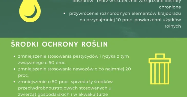 Zdjęcie Co to zielony ład i jak wpłynie na przyszłość Europy?