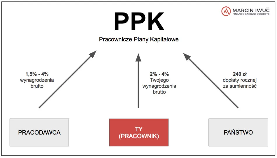 Zdjęcie PPK: jakie oprocentowanie? Poznaj fakty i porównaj z lokatami