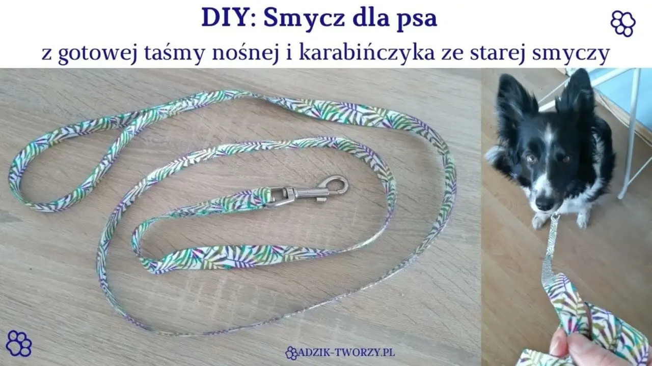 Zdjęcie Jak zrobić smycz dla psa - łatwe i tanie sposoby na DIY
