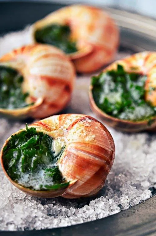 Zdjęcie Escargots: Jak przygotować te wyjątkowe ślimaki w masle czosnkowym