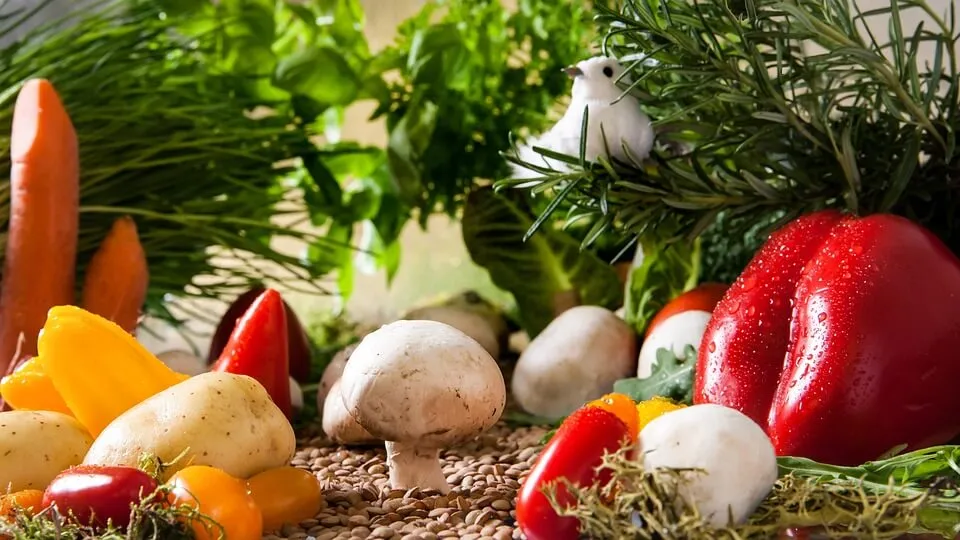 Zdjęcie Qué se planta en septiembre: las mejores hortalizas para tu huerto
