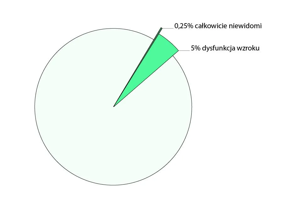 Zdjęcie Jak widzi niewidomy? Zaskakujące spojrzenie na ich percepcję świata