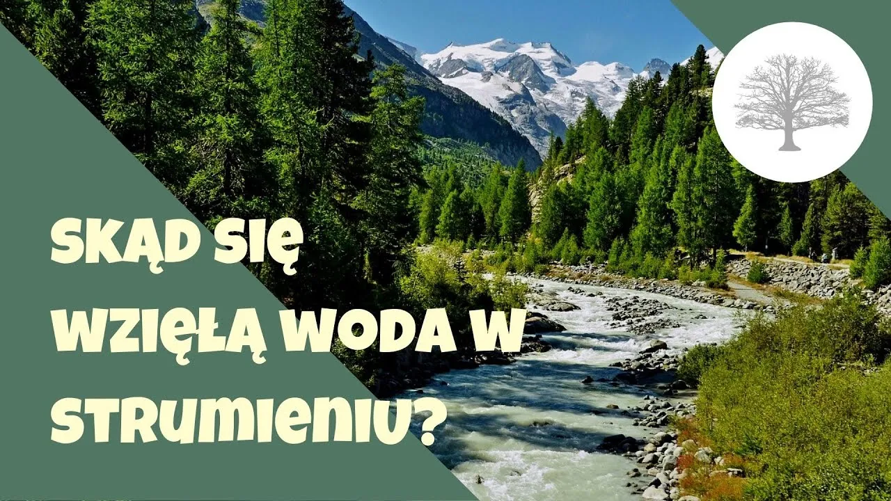 Zdjęcie Skąd się bierze woda w górach? Odkryj tajemnice źródeł wody