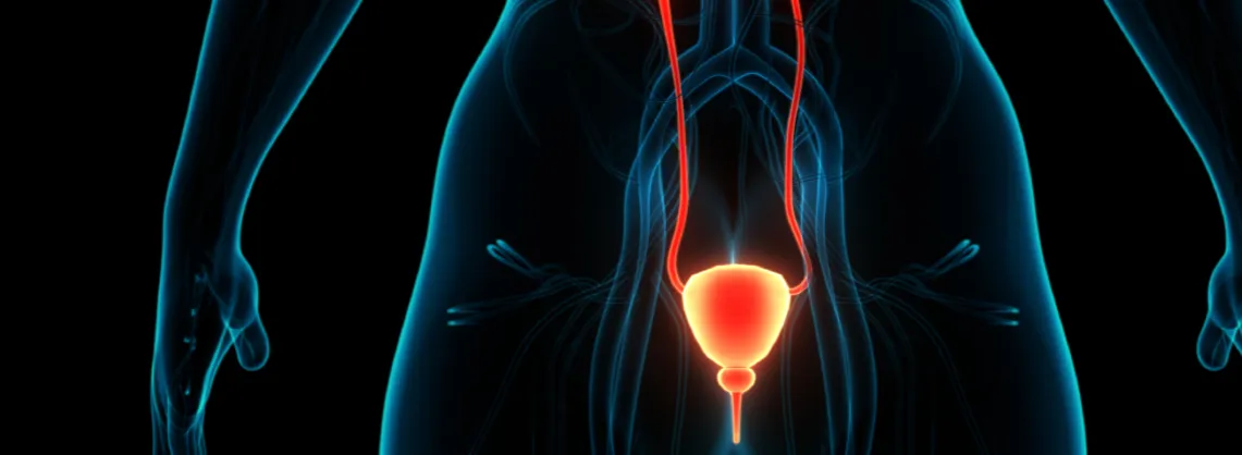 Zdjęcie Objawy raka prostaty u mężczyzn - nie bagatelizuj tych sygnałów