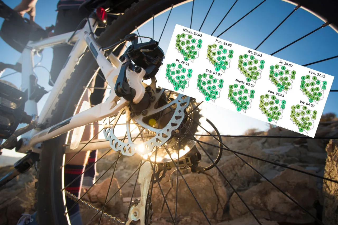 Zdjęcie Rower czy spacer: co lepiej spala kalorie i poprawia kondycję?