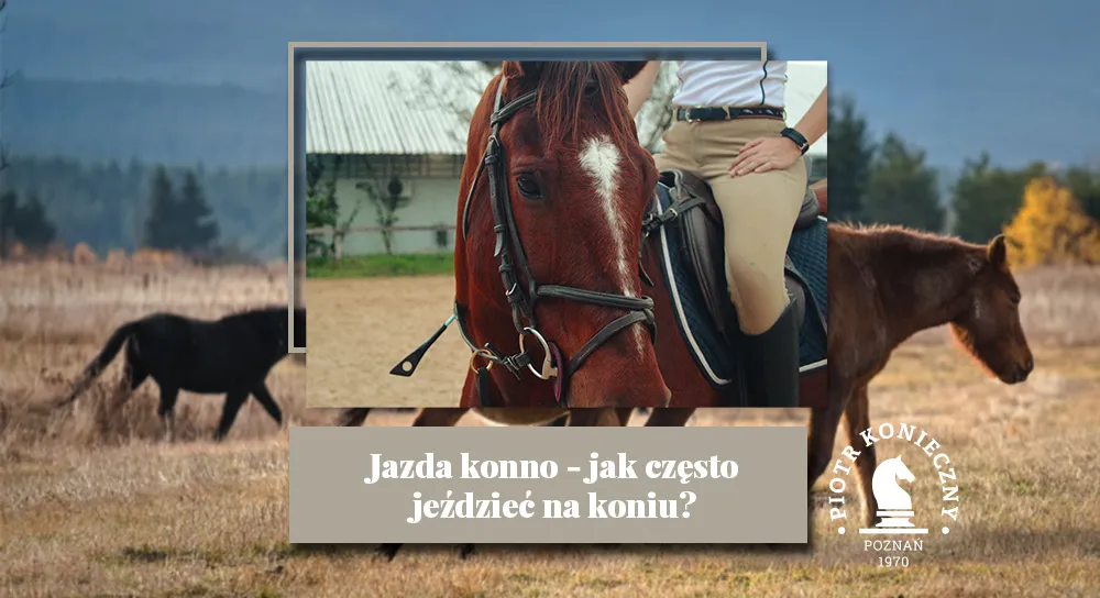 Zdjęcie Jak jeździć na koniu: Kluczowe zasady bezpieczeństwa i techniki
