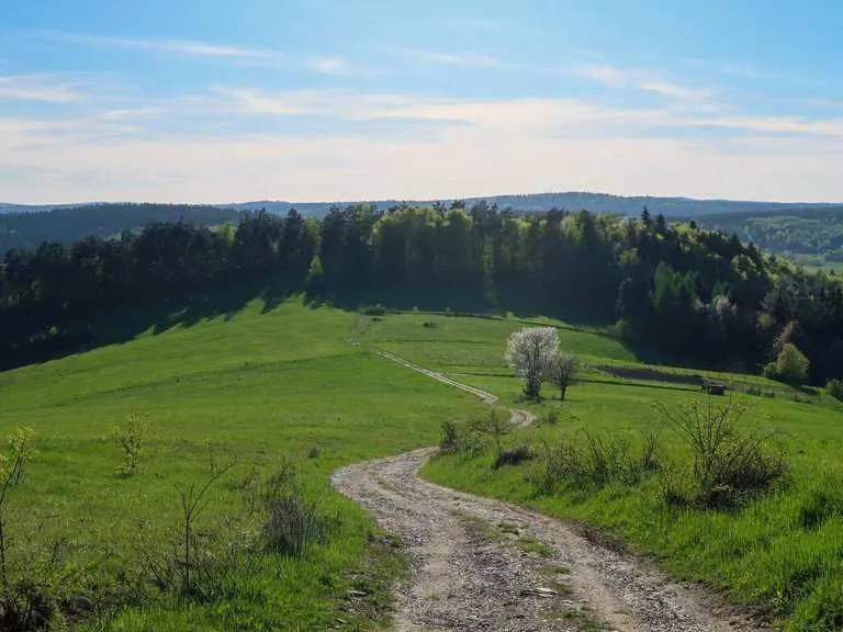 Zdjęcie Najlepsze trasy rowerowe w Rzeszowie – odkryj malownicze szlaki
