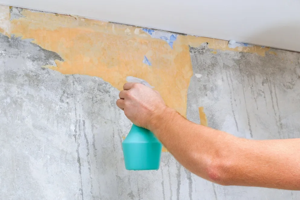 Zdjęcie Jak usunąć tapetę bez uszkadzania ściany - proste metody i porady