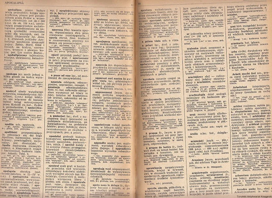 Zdjęcie Słownik wyrazów obcych Kopaliński – klucz do bogactwa języka polskiego