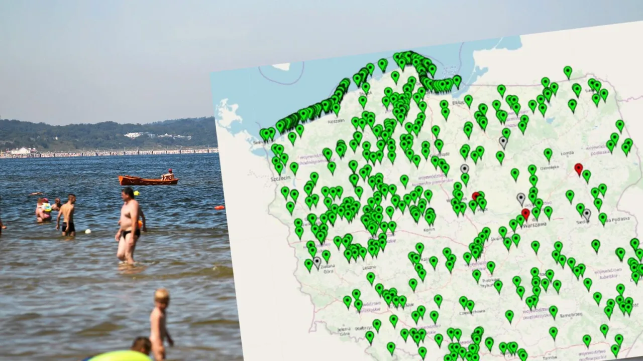 Zdjęcie Jak wyglądają sinice w Bałtyku i co warto o nich wiedzieć?