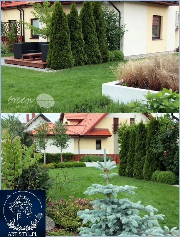 Zdjęcie Jak ogrodzić tuje przed psem: 7 skutecznych metod ochrony