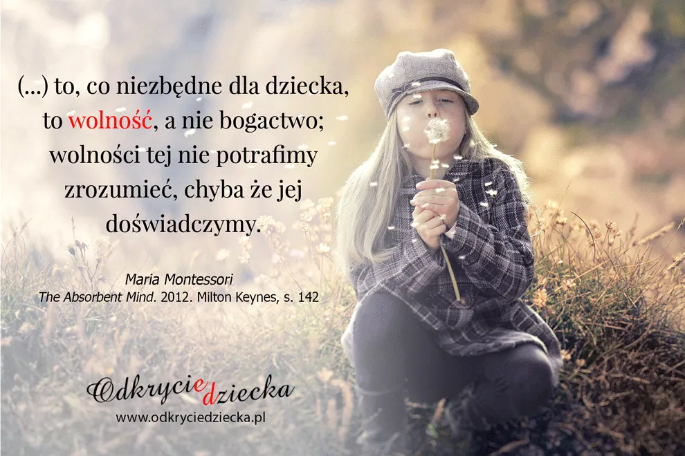 Zdjęcie Najpiękniejsze cytaty o wolności i inspirujące sentencje wielkich ludzi