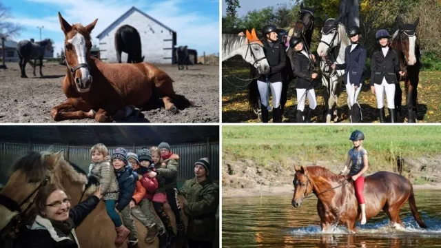 Zdjęcie Najlepsze stadniny koni w Toruniu - usługi, lekcje i opinie