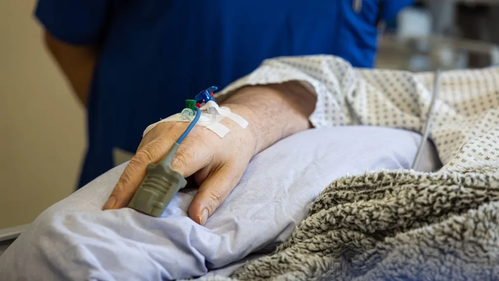 Zdjęcie Borna Virus Symptome: Warnsignale, die Sie nicht ignorieren sollten