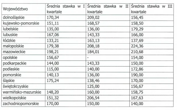 Zdjęcie Ile zarabia lekarz na stażu? Zaskakujące informacje o wynagrodzeniu