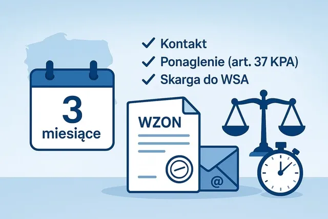 Zdjęcie Jak napisać opinię prawną krok po kroku, aby uniknąć błędów