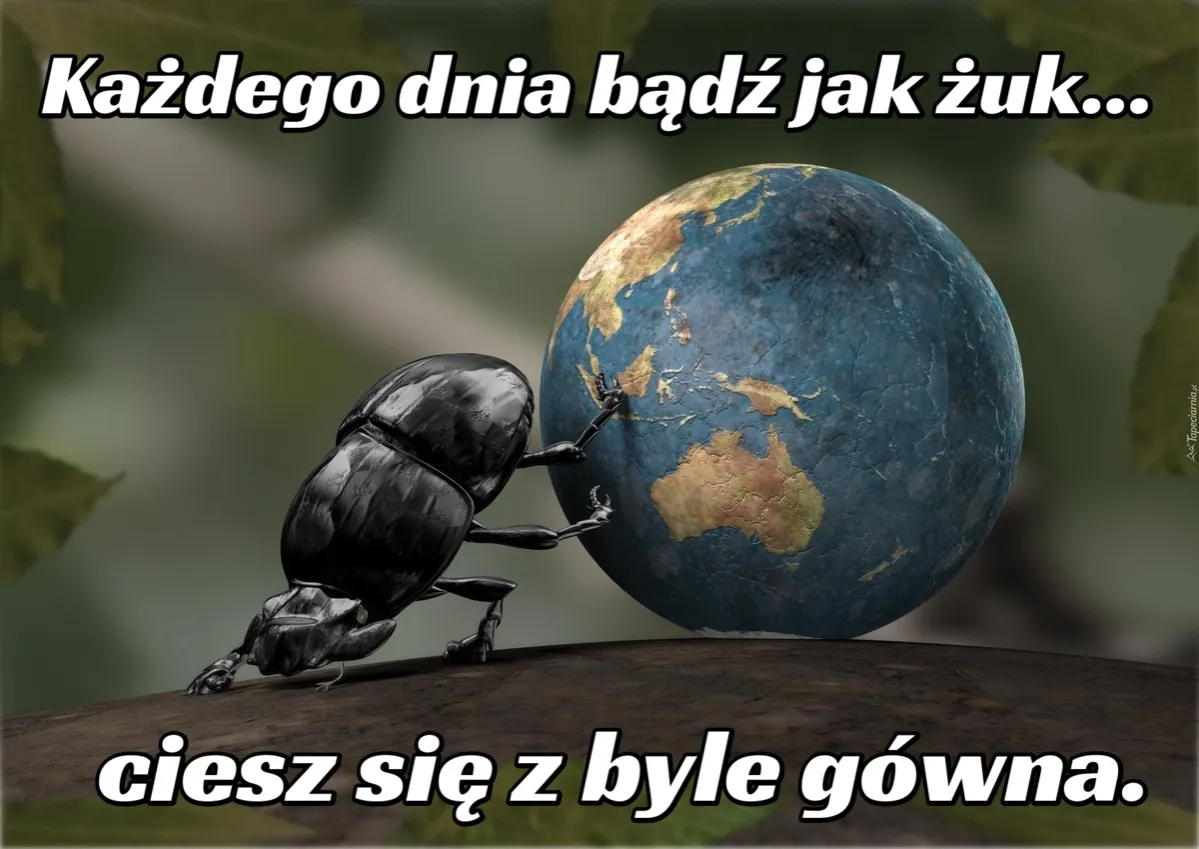 Zdjęcie Bądź sprawny jak lampart pobierz za darmo w formacie PDF i ciesz się zdrowiem