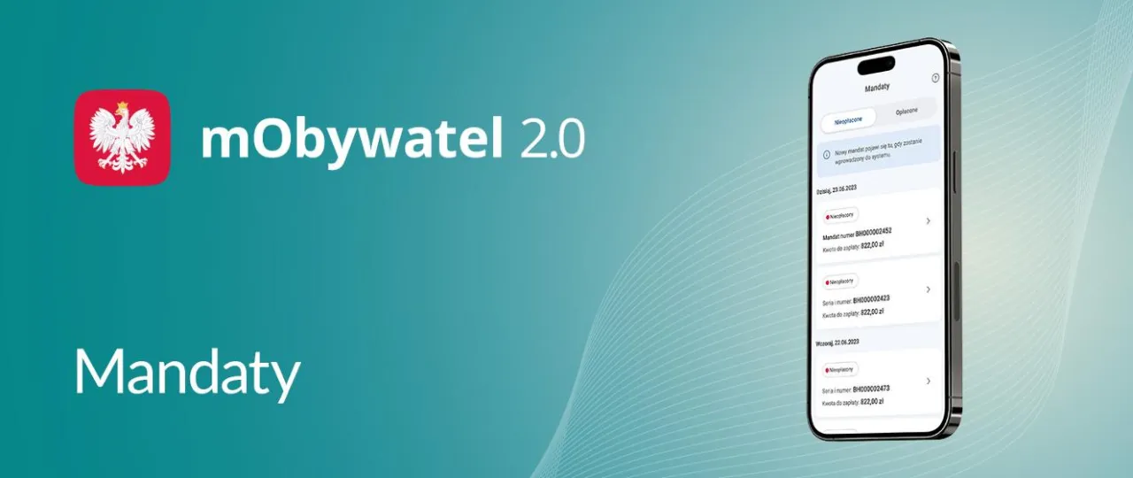 Zdjęcie Jak wygląda mandat karny? Sprawdź, co musisz wiedzieć!