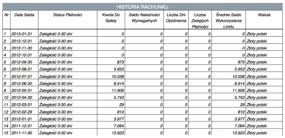 Zdjęcie Czy w BIK widać chwilówki? Jak spłata wpływa na Twoją historię kredytową