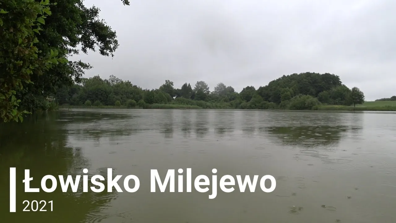 Zdjęcie Milejewo łowisko – wszystkie szczegóły o nadchodzących zawodach wędkarskich