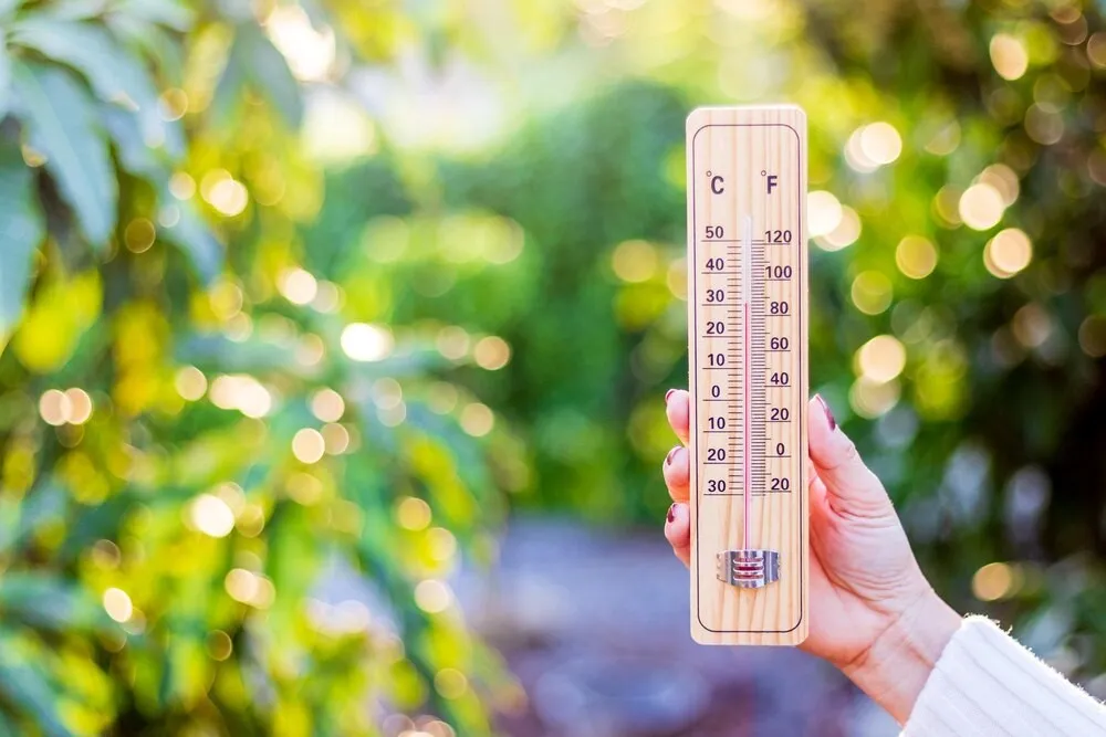 Zdjęcie Ile jest stopni w Zielonej Górze? Sprawdź aktualną temperaturę!