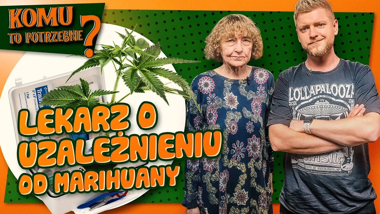 Zdjęcie Marihuanę a poco to komu - czy naprawdę jest nam potrzebna?