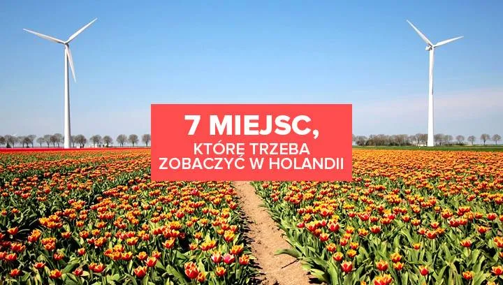 Zdjęcie Najlepsze atrakcje turystyczne w Holandii, które musisz zobaczyć