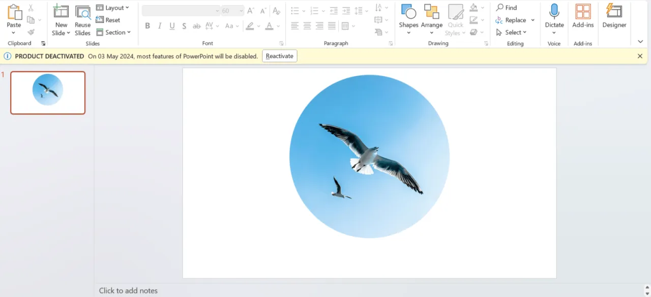 Zdjęcie Jak przyciąć obraz w PowerPoint: 5 prostych kroków i triki