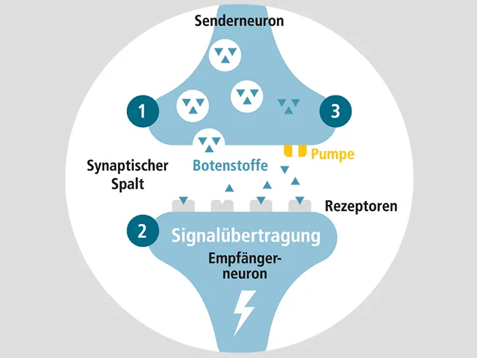 Zdjęcie ADHS Medikamente: Wirksamkeit, Nebenwirkungen und richtige Wahl verstehen