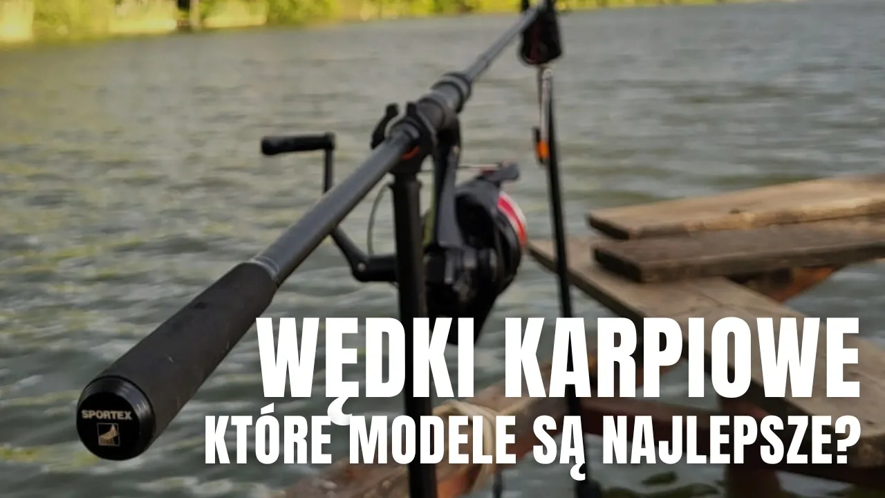 Zdjęcie Jaką wędkę na karpia wybrać, by uniknąć rozczarowania?