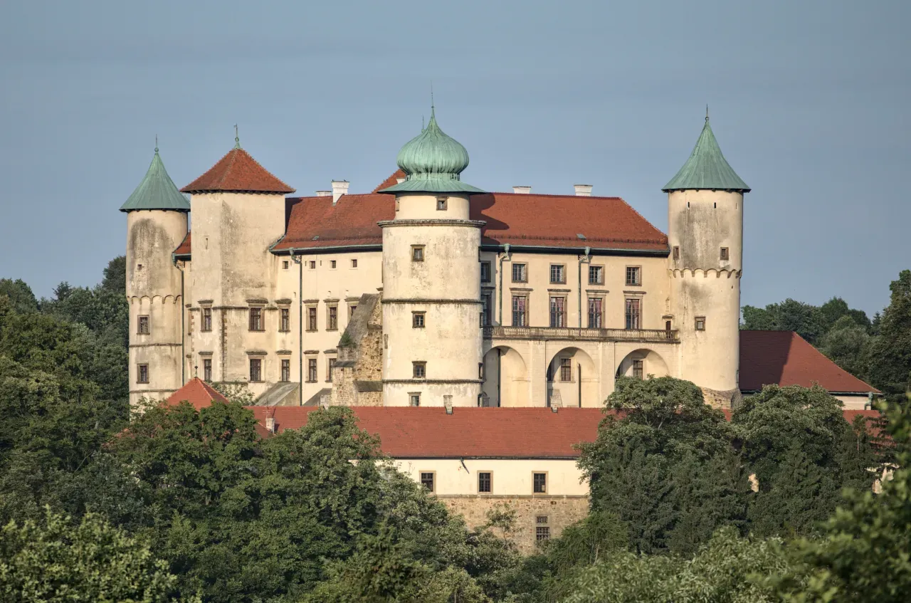 Zdjęcie Skansen w Suchej: Fascynująca historia i atrakcje, które musisz poznać