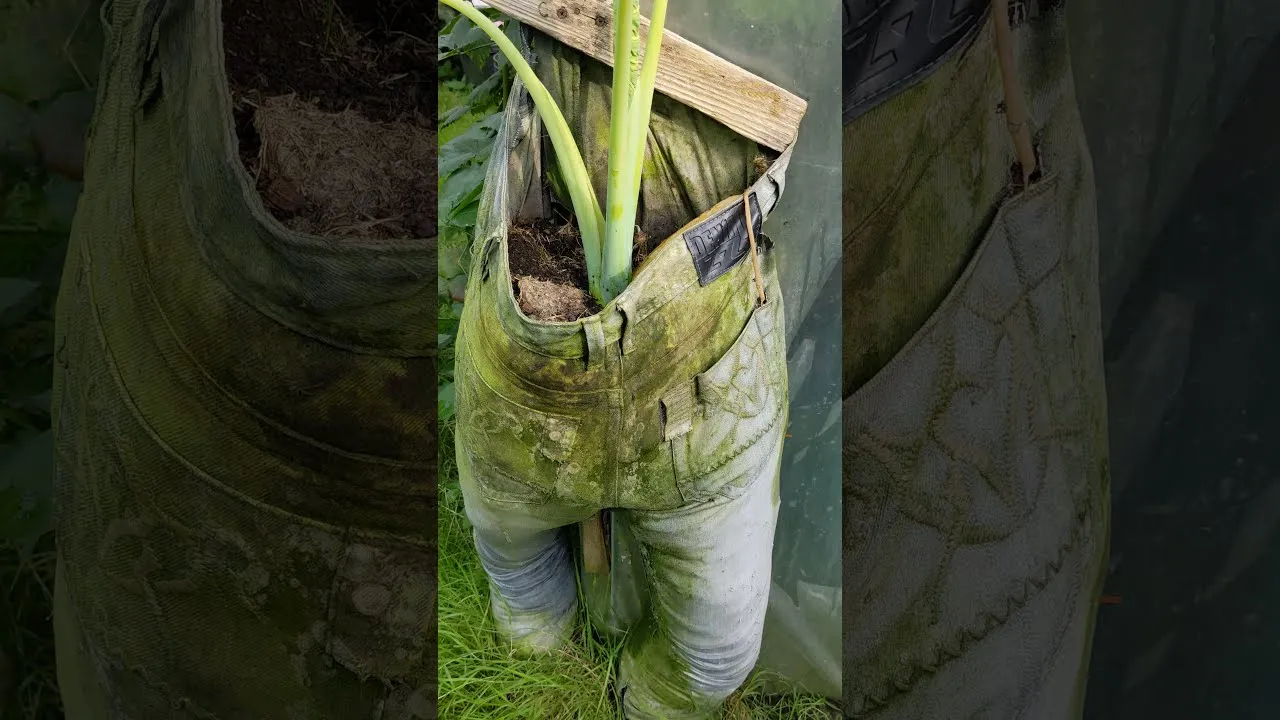 Zdjęcie Jak zrobić kwietnik z jeansów – proste sposoby na upcykling materiałów