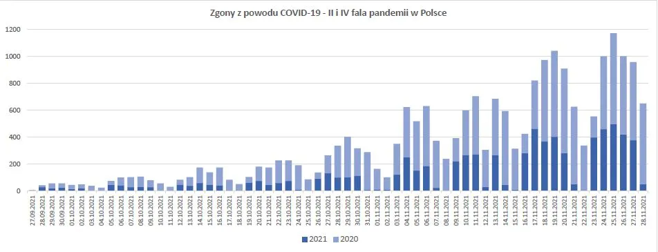 Zdjęcie Poznaj prawdę w którym roku zaczęła się pandemia i jak rozwija się COVID-19