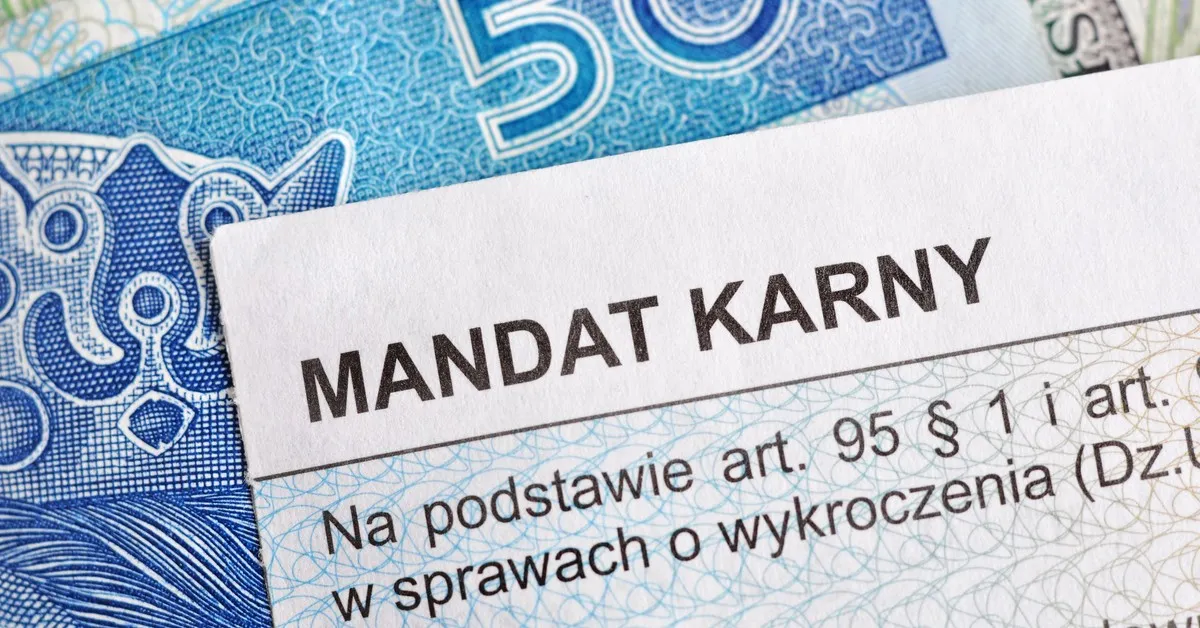 Zdjęcie Mandat gdzie sprawdzić: uniknij nieprzyjemności związanych z zaległościami