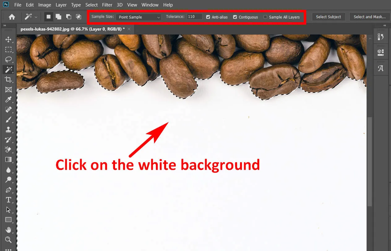 Zdjęcie Jak usunąć białe tło w Photoshopie - proste metody, które działają