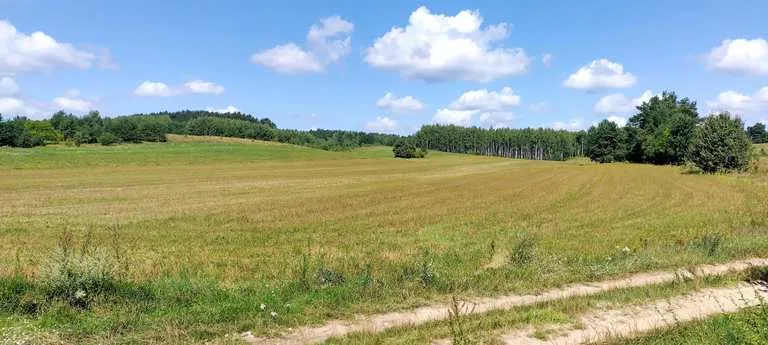 Zdjęcie Biała Podlaska atrakcje – odkryj ukryte skarby i fascynujące miejsca