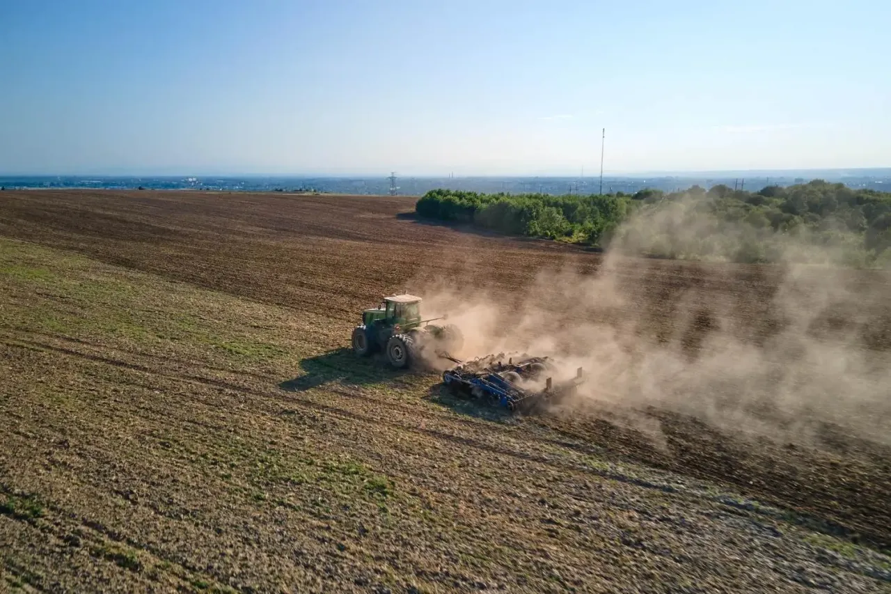 Zdjęcie Kiedy siać żyto ozime, aby uniknąć nieudanych plonów?
