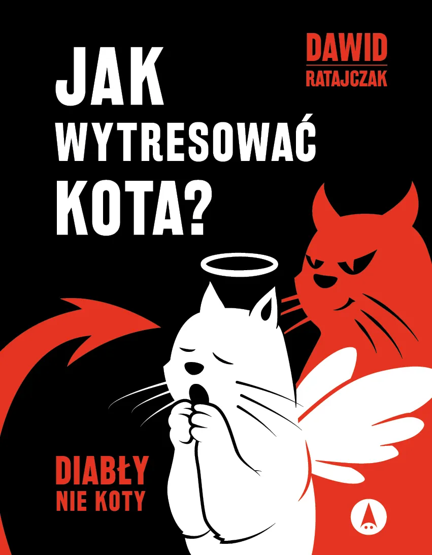 Zdjęcie Jak wytresować kota skutecznie i bez stresu dla zwierzaka