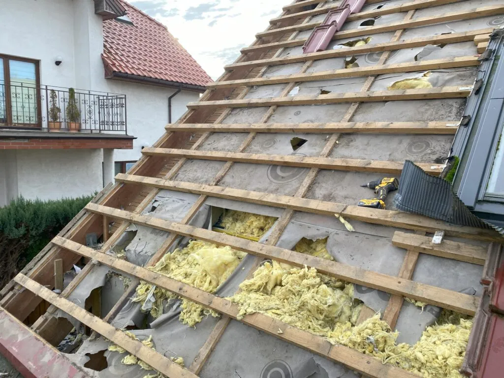 Zdjęcie Praktyczne sposoby zabezpieczenia poddasza przed kunami - ochrona domu bez konieczności ponoszenia wysokich kosztów